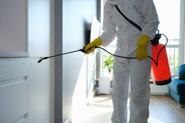 Trusted Stone Ridge, NY Mold Removal Experts