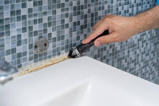 Best Same-Day Mold Removal  in Stone Ridge, NY
