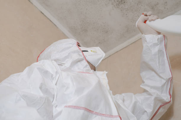 Best Mold Cleaning Services  in Stone Ridge, NY