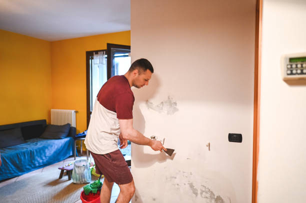 Mold Removal Process in Stone Ridge, NY